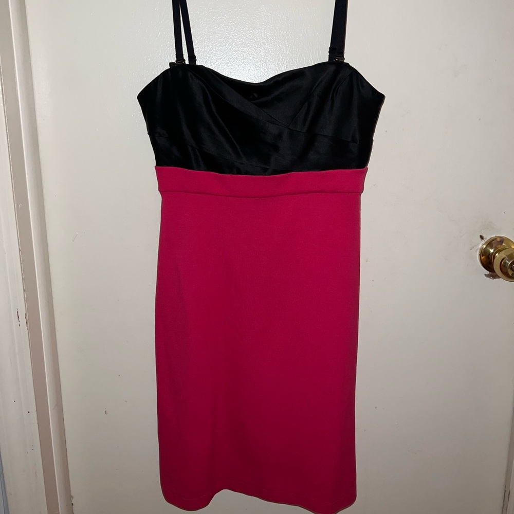 BCBG bodycon dress